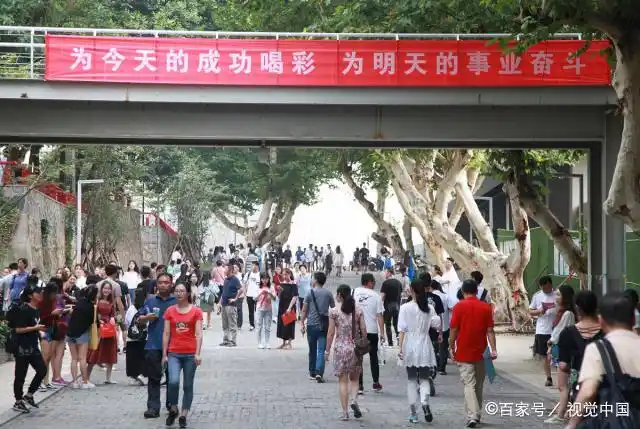 特长生高考与普通生高考区别_特长生_艺术特长生高考政策