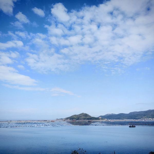 南澳岛生态旅游区图片