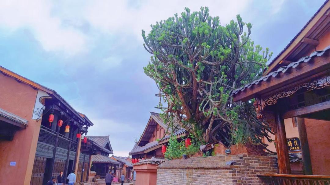 西昌唐园沉浸式文化体验_四川西昌旅游景点大全_西昌建昌古城历史风貌