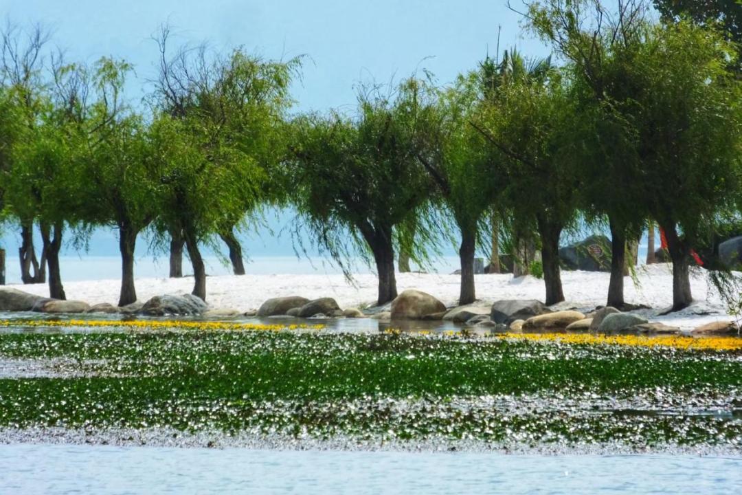 西昌唐园沉浸式文化体验_四川西昌旅游景点大全_西昌建昌古城历史风貌
