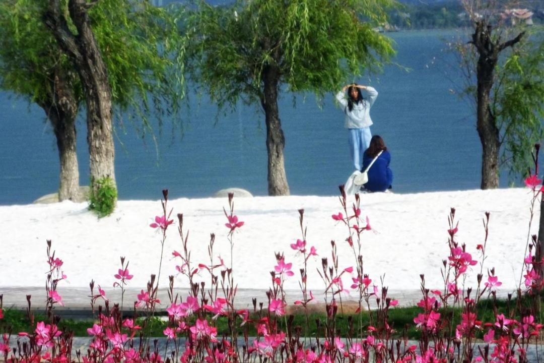 西昌建昌古城历史风貌_四川西昌旅游景点大全_西昌唐园沉浸式文化体验