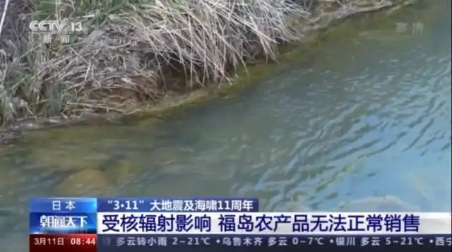 福岛核污染对农业影响_福岛农产品无法正常销售原因_日本核泄漏几年几月几日