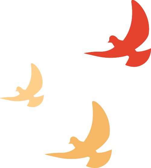 上思县民族中学_民族团结进步教育_上思县民族中学