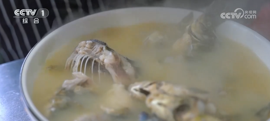 东平湖越冬鱼受追捧_泉水里长出的春味水芹_东平湖鲤