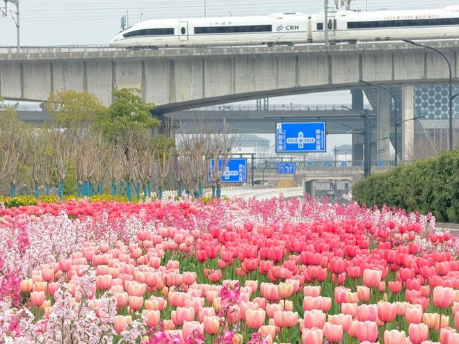 杭州千岛湖西溪湿地跟团游_杭州西溪湿地文化简介_杭州4天3晚纯玩团