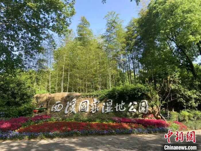 杭州西溪湿地20周年启示录_杭州西溪湿地文化简介_绿水青山就是金山银山理念实践