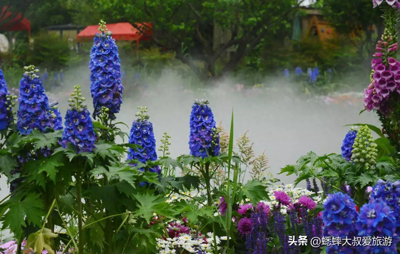 杭州西溪湿地文化简介_杭州西溪湿地烟水渔庄宋韵仙境_杭州西溪湿地春日游玩攻略
