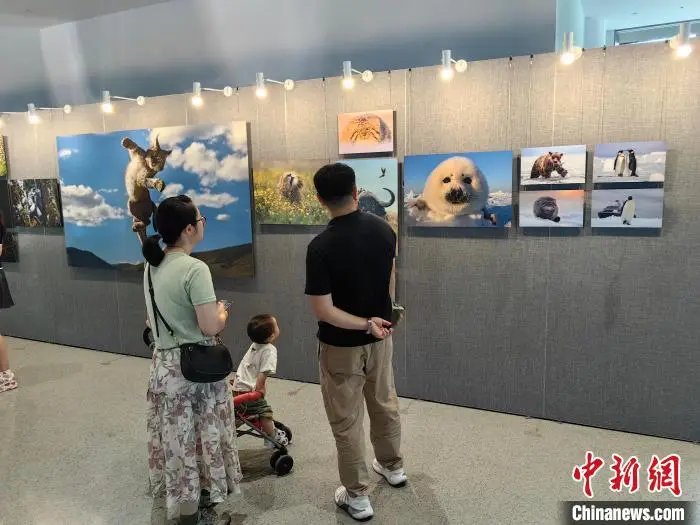 上海生态环保艺术节_全国生态日_环保生态材料