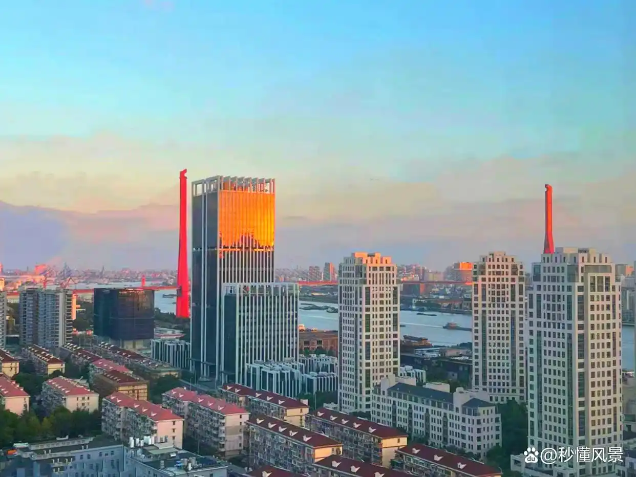 黄浦江跨江大桥_南浦大桥引桥设计小孩_上海南浦大桥