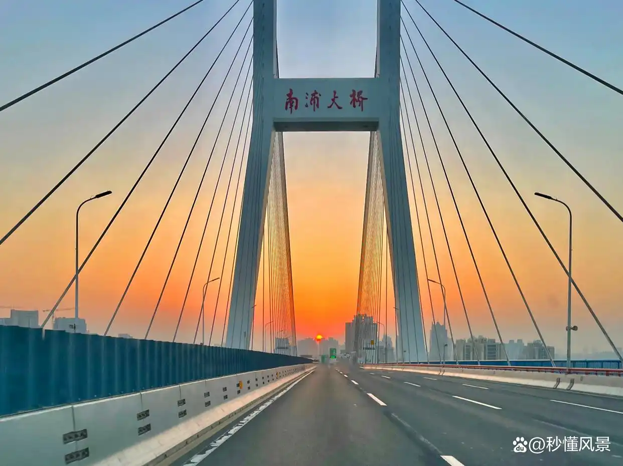 上海南浦大桥_南浦大桥引桥设计小孩_黄浦江跨江大桥
