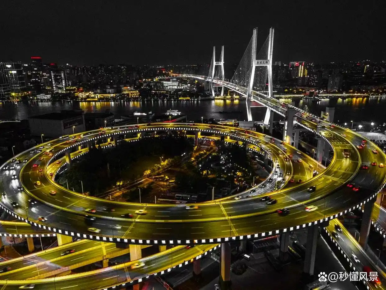 黄浦江跨江大桥_南浦大桥引桥设计小孩_上海南浦大桥