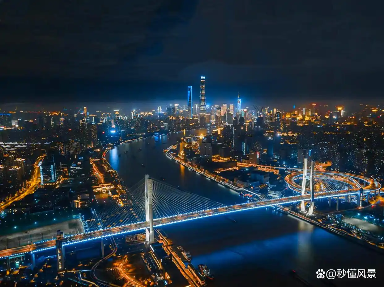 黄浦江跨江大桥_上海南浦大桥_南浦大桥引桥设计小孩