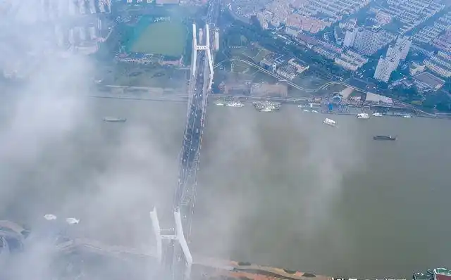 南浦大桥设计理念_小学生创意启发大桥_南浦大桥引桥设计小孩