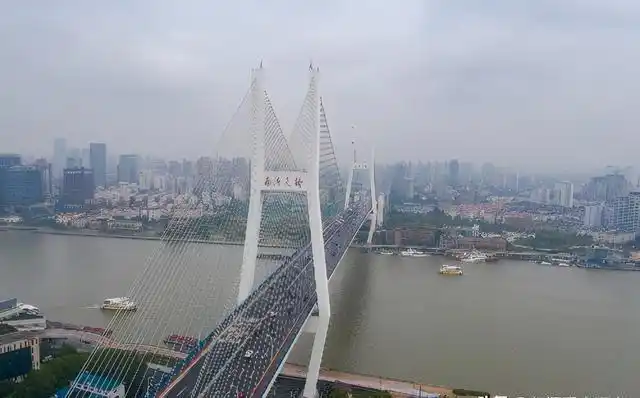南浦大桥引桥设计小孩_小学生创意启发大桥_南浦大桥设计理念