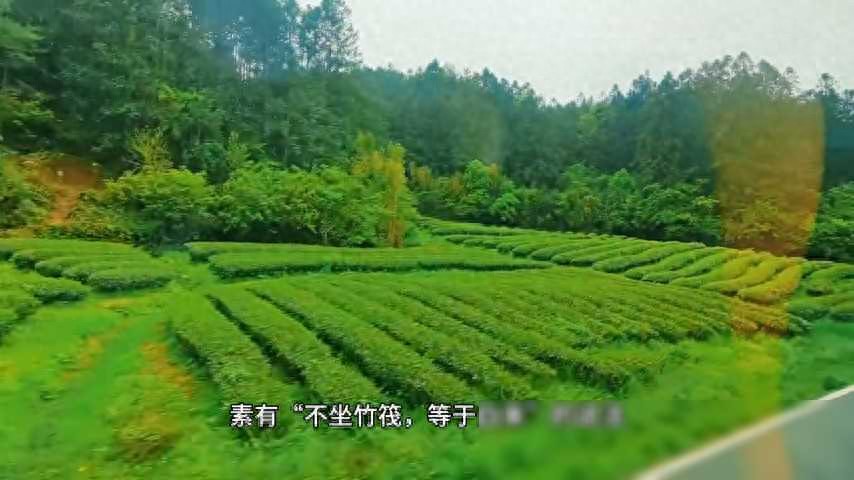 武夷山九曲溪竹筏历史文化_武夷山九曲溪竹筏漂流体验_武夷山的悬棺文化