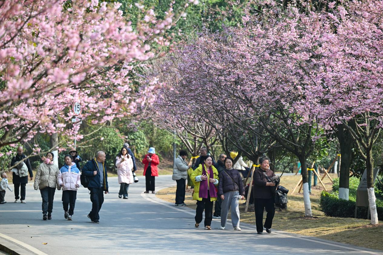 重庆两江新区赏花公园_两江新区花海旅游攻略_重庆园博园投资多少钱