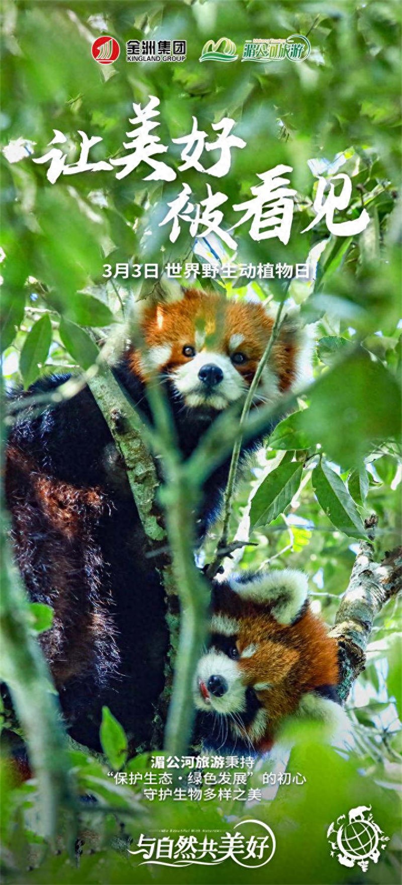 世界野生动植物日_普洱太阳河森林公园新生熊狸_世界野生动植物日是