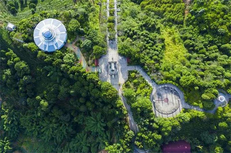 世界野生动植物日_普洱太阳河森林公园新生熊狸_世界野生动植物日是