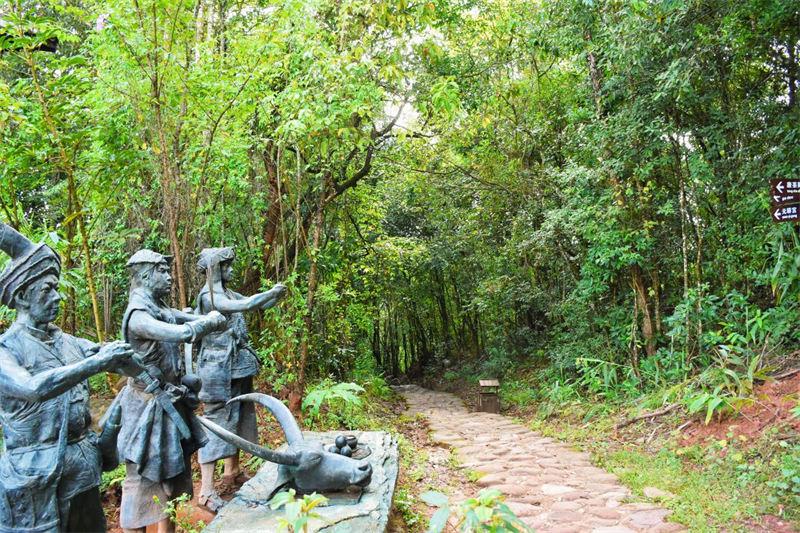 普洱太阳河森林公园新生熊狸_世界野生动植物日_世界野生动植物日是