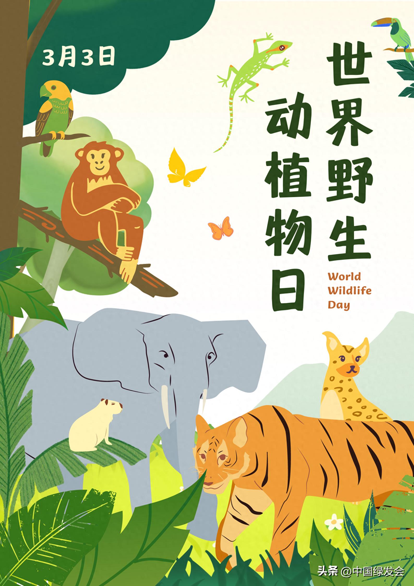 世界野生动植物日3月3日_野生动植物日_世界野生动植物日是