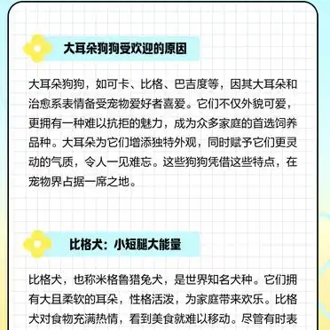 大耳朵狗狗受欢迎的原因_大耳朵狗狗品种介绍_大耳朵狗有哪些品种