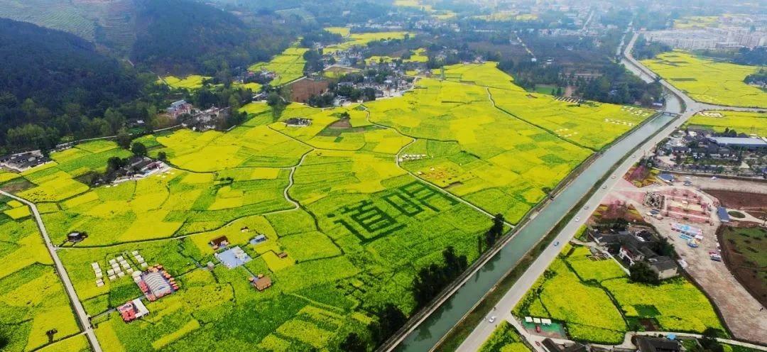 成都村糖会休闲农业精品线路_生态旅游观光农业_成都乡村休闲旅游特色资源