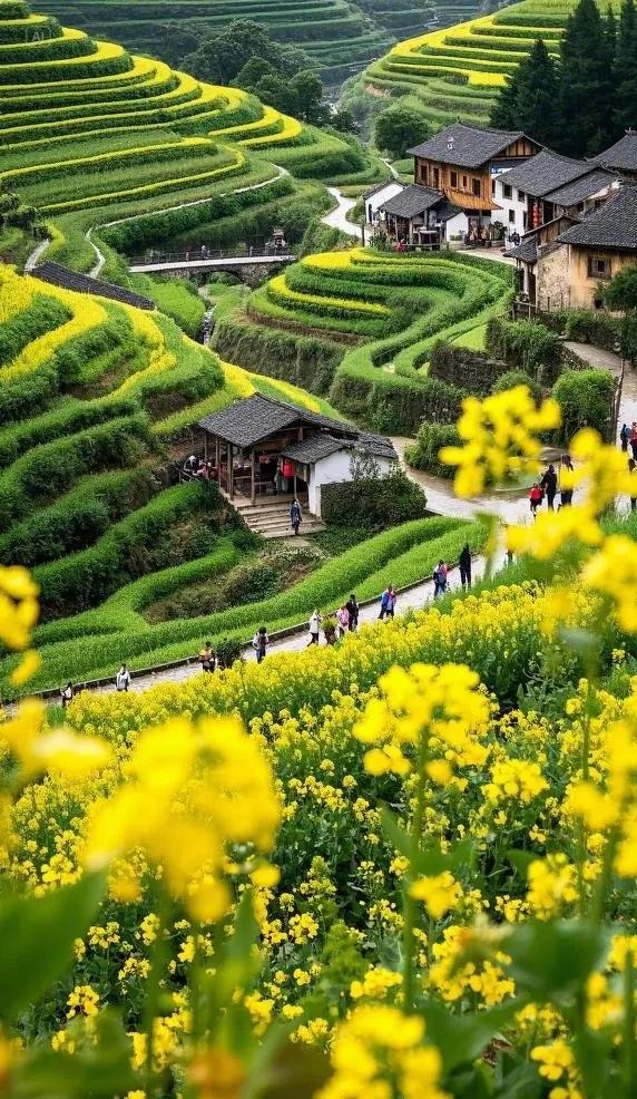 婺源十一自驾游_婺源经典景点分布_婺源最佳旅行时间