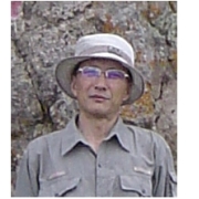 元青花瓷胎体分析_元青花瓷片展_元青花瓷片研究