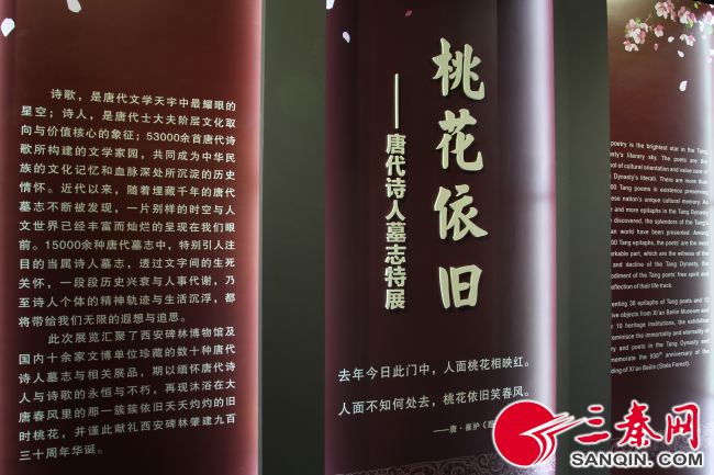 张九龄墓志_唐代诗人墓志展 西安碑林博物馆 唐代墓志文化