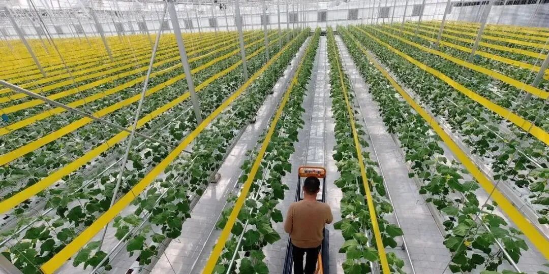 生态农业优势特点_生态系统的能量流动的特点_生态农业模式类型