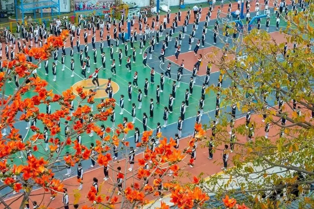 南海区西樵镇民乐小学校园网站_民乐小学岭南特色课程招生_民乐小学体艺校本课程招生