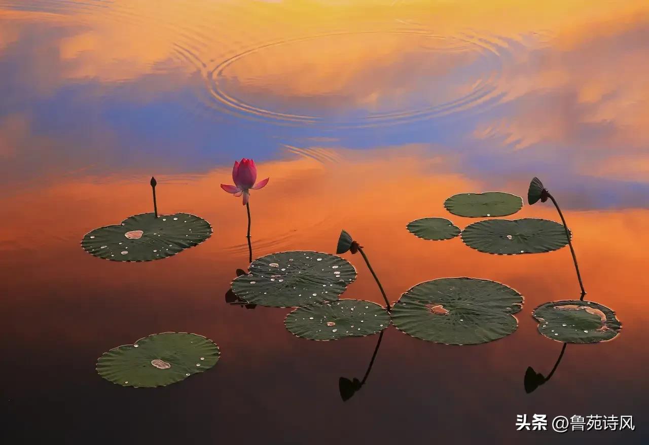 如何做笑面虎_如何辨别笑面虎_识别笑面虎的方法