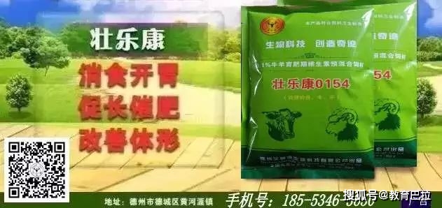 安格斯牛起源_红安格斯牛图片_格斯牛特点