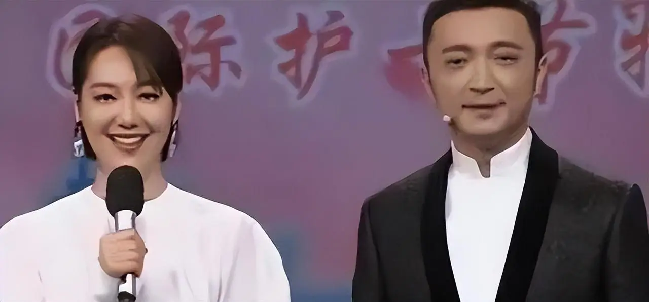 央视记者王冠老婆_王冠婚讯 王冠尼格买提 王冠41岁结婚