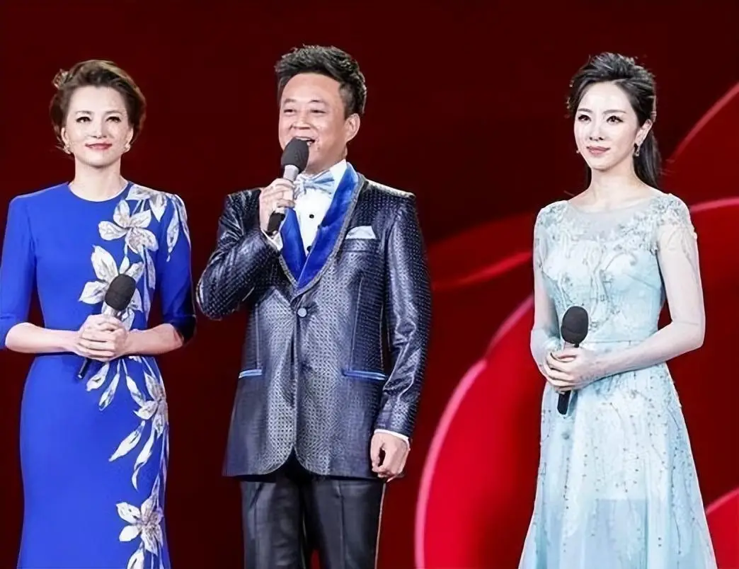 央视记者王冠老婆_王冠婚讯 王冠尼格买提 王冠41岁结婚