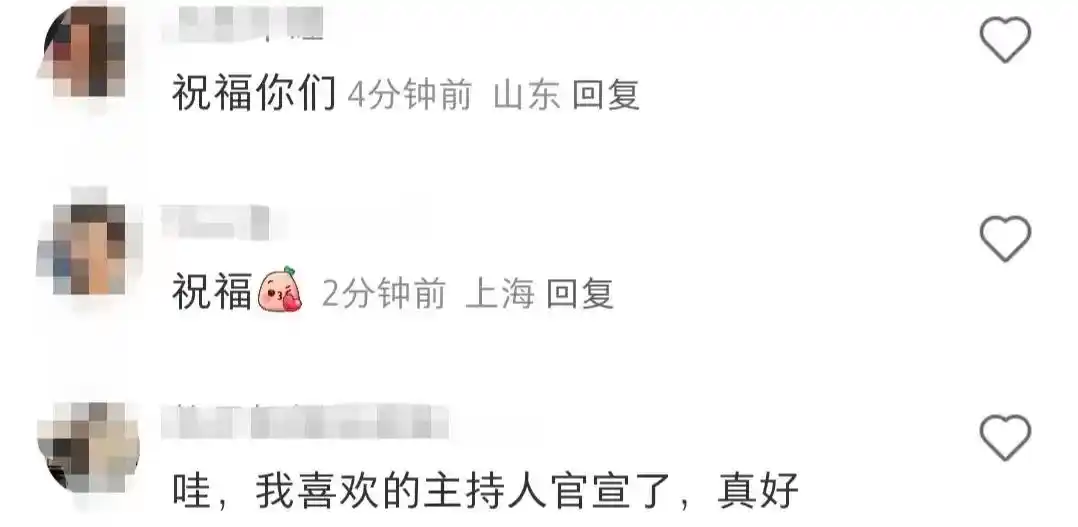 央视记者王冠老婆_王冠宣布结婚消息_王冠老公是谁