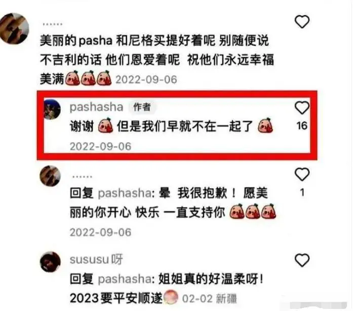 央视记者王冠老婆_王冠 央视主持人 风流韵事