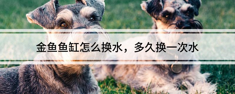 金鱼鱼缸换水频率_金鱼老水养护_生态鱼缸多久换一次水