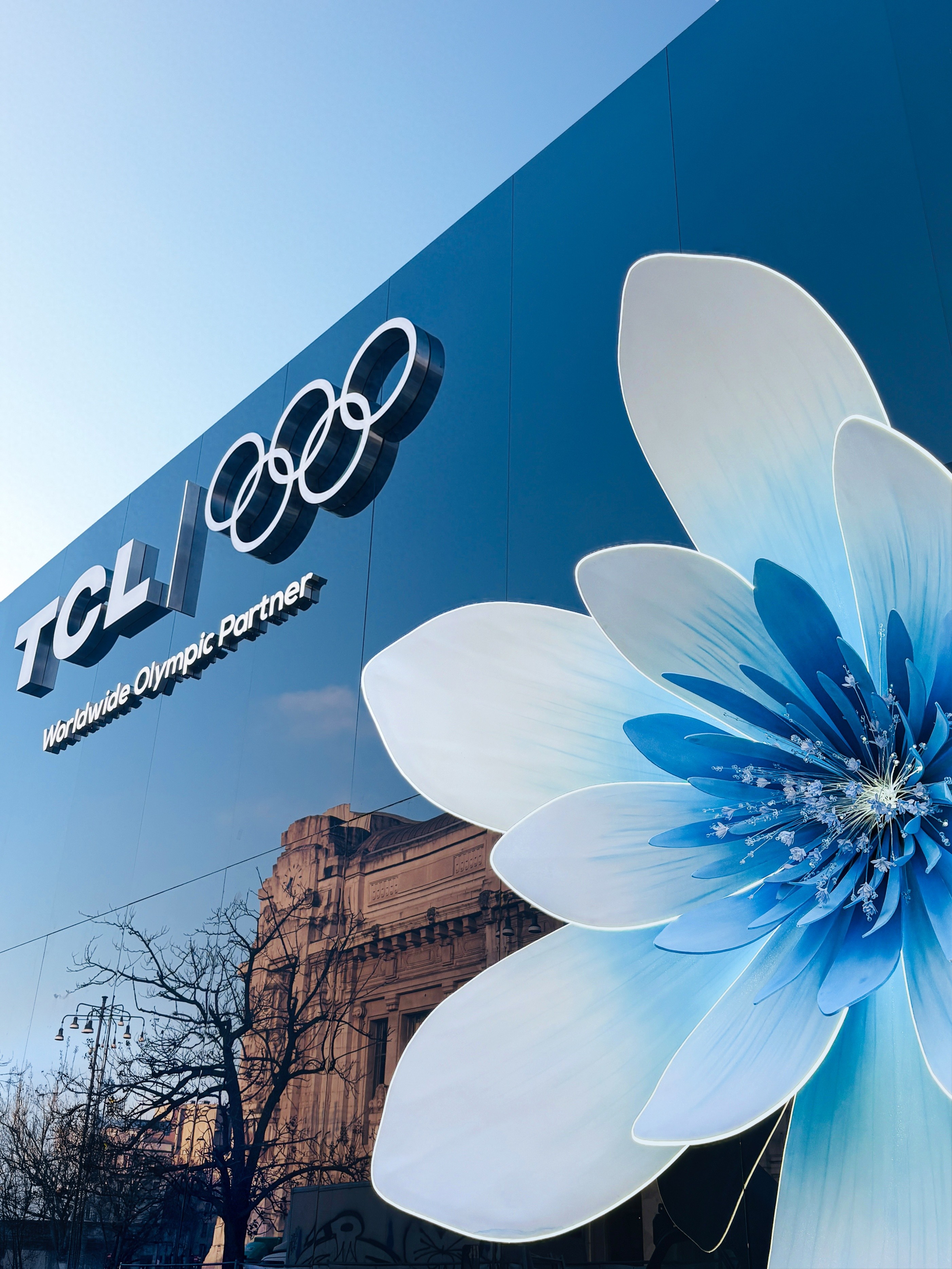 tcl p301_SQD-MiniLED 技术优势 冬奥赛事显示效果_TCL X11L SQD-Mini LED 冬奥观赛体验