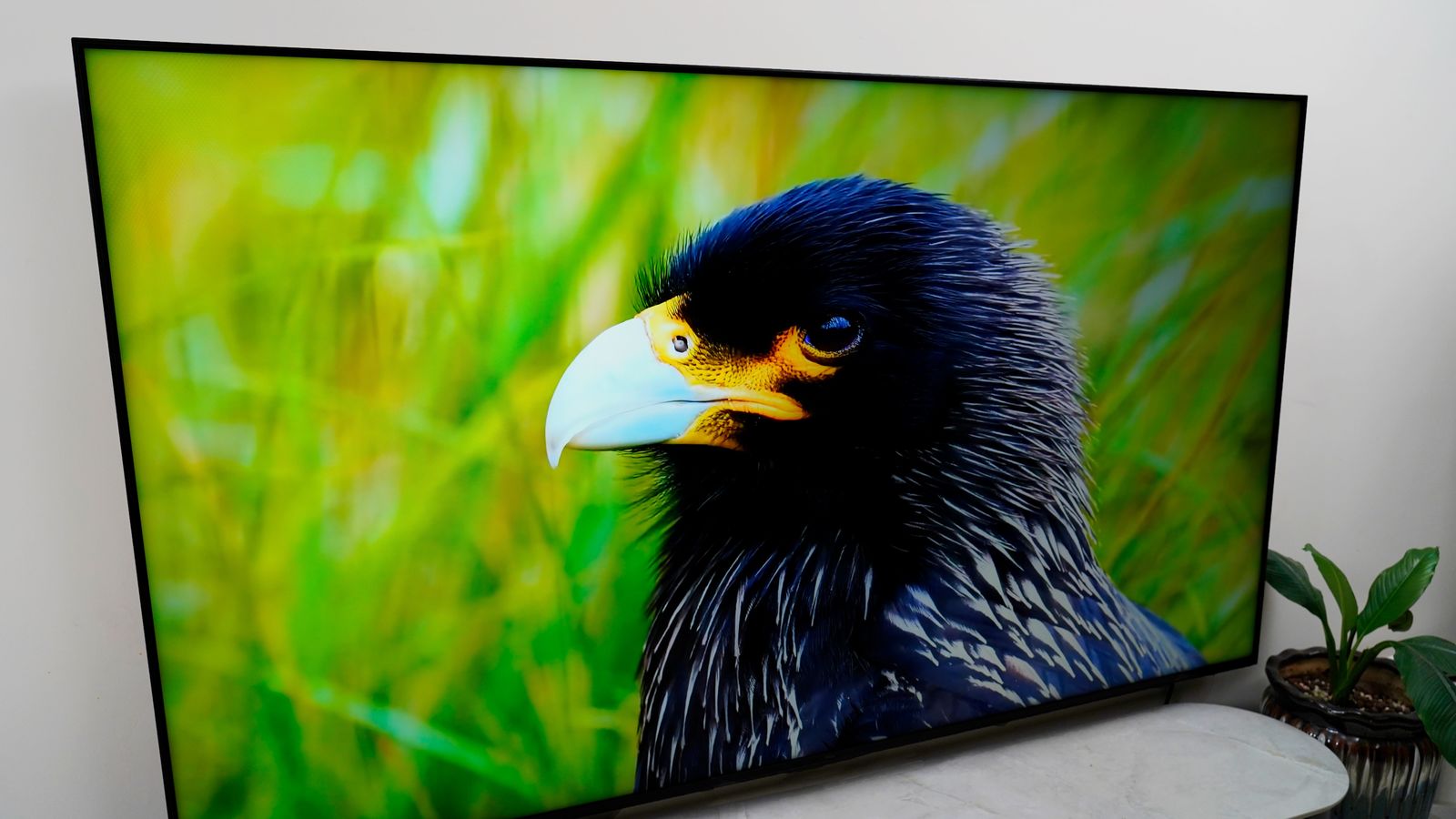TCL Q10H Mini LED电视评测_tcl p301_TCL Q10H画质对比传统电视