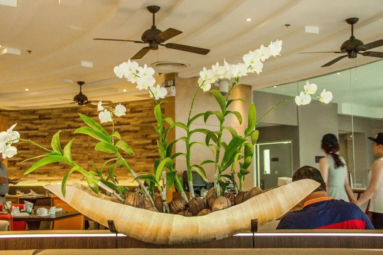 普吉岛卡塔塔尼酒店_Grand Mercure Phuket Patong_普吉岛美爵芭东大酒店