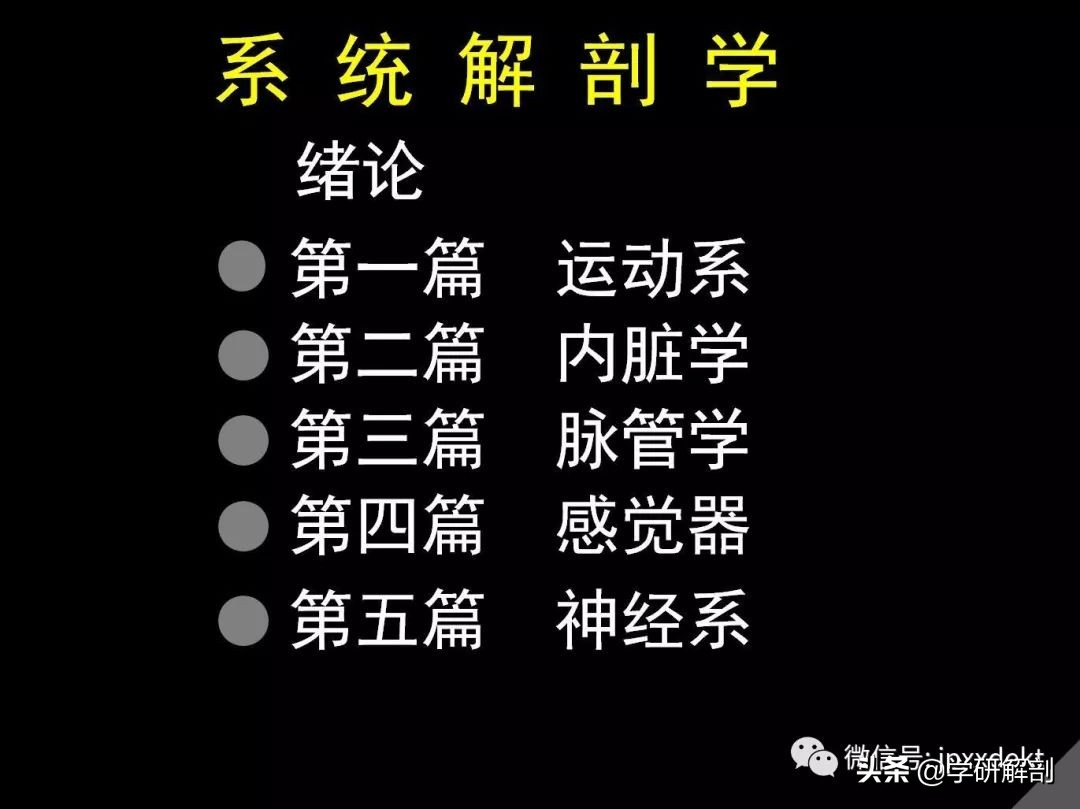 人体解剖学定义_人体组成结构_正常人体解剖学感觉器
