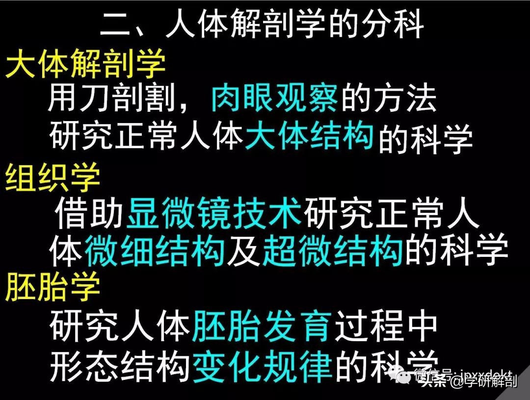 正常人体解剖学感觉器_人体组成结构_人体解剖学定义