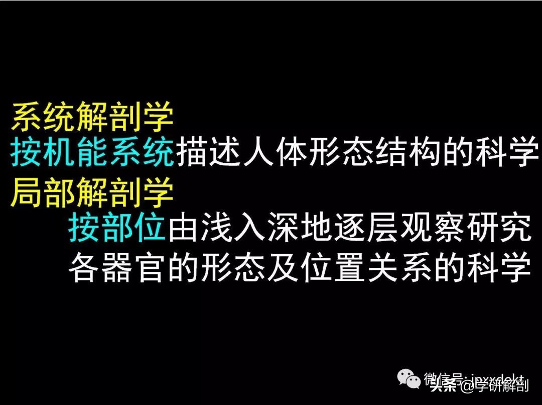 人体解剖学定义_正常人体解剖学感觉器_人体组成结构