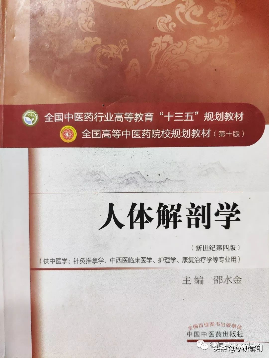 人体组成结构_正常人体解剖学感觉器_人体解剖学定义