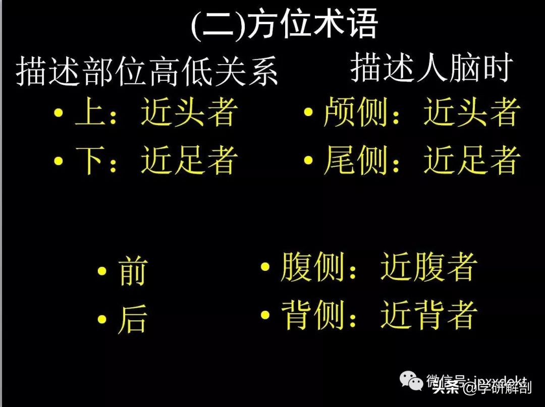 人体解剖学定义_人体组成结构_正常人体解剖学感觉器