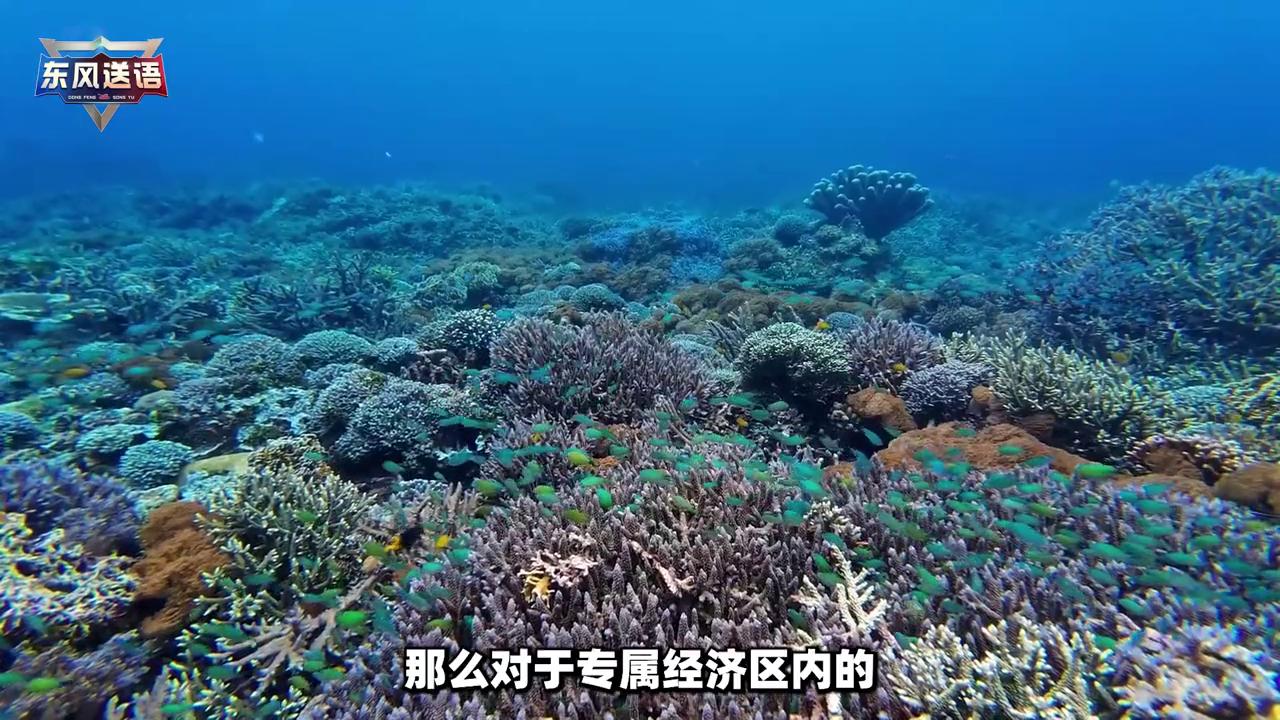 中国海洋权益及维护_中国毗连区管制权_中国专属经济区权利