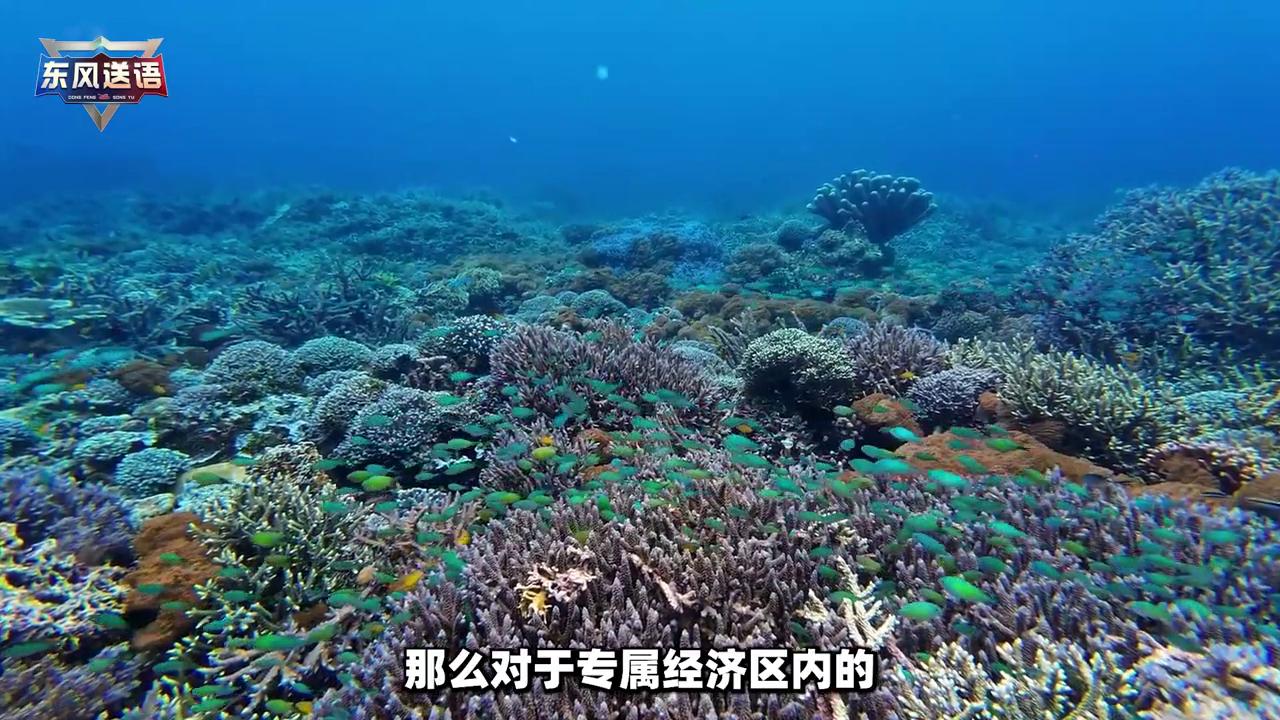 中国毗连区管制权_中国专属经济区权利_中国海洋权益及维护
