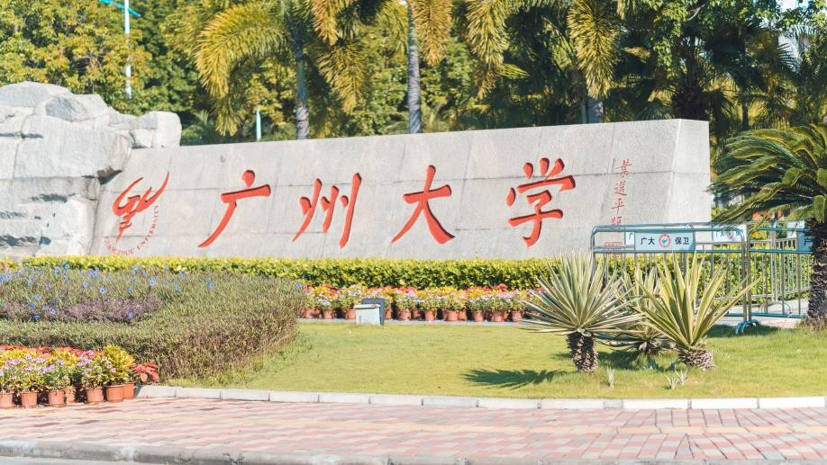 中国遥感卫星发展_遥感学报 顾行发_遥感技术