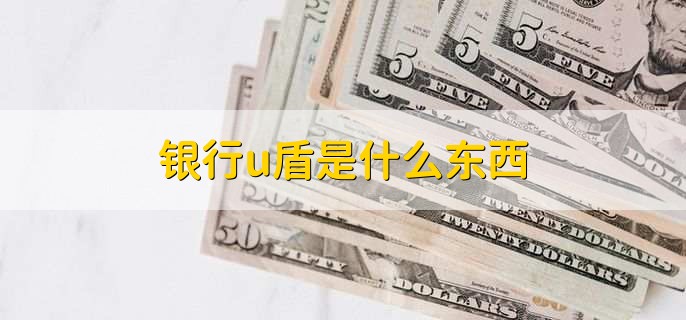 工商银行密码器和u盾_U盾安全验证功能_银行U盾使用方法